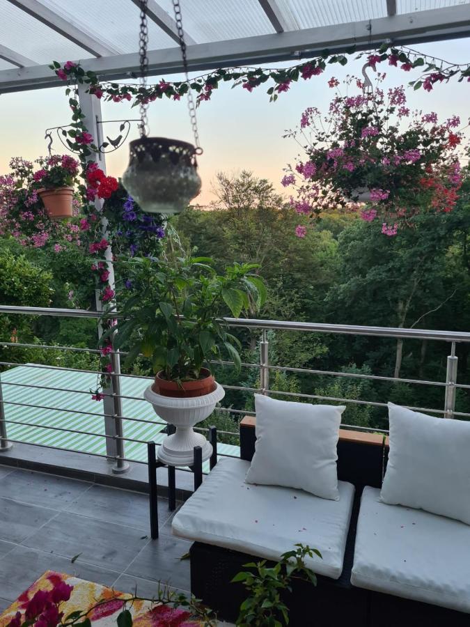 Cozy Room With A Beautiful Garden View Baunatal Dış mekan fotoğraf
