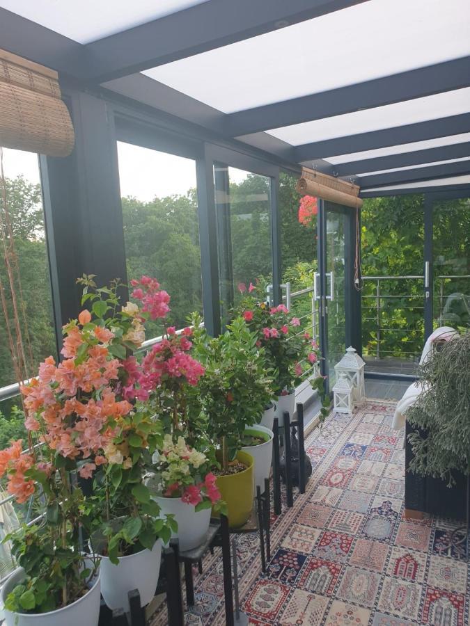 Cozy Room With A Beautiful Garden View Baunatal Dış mekan fotoğraf