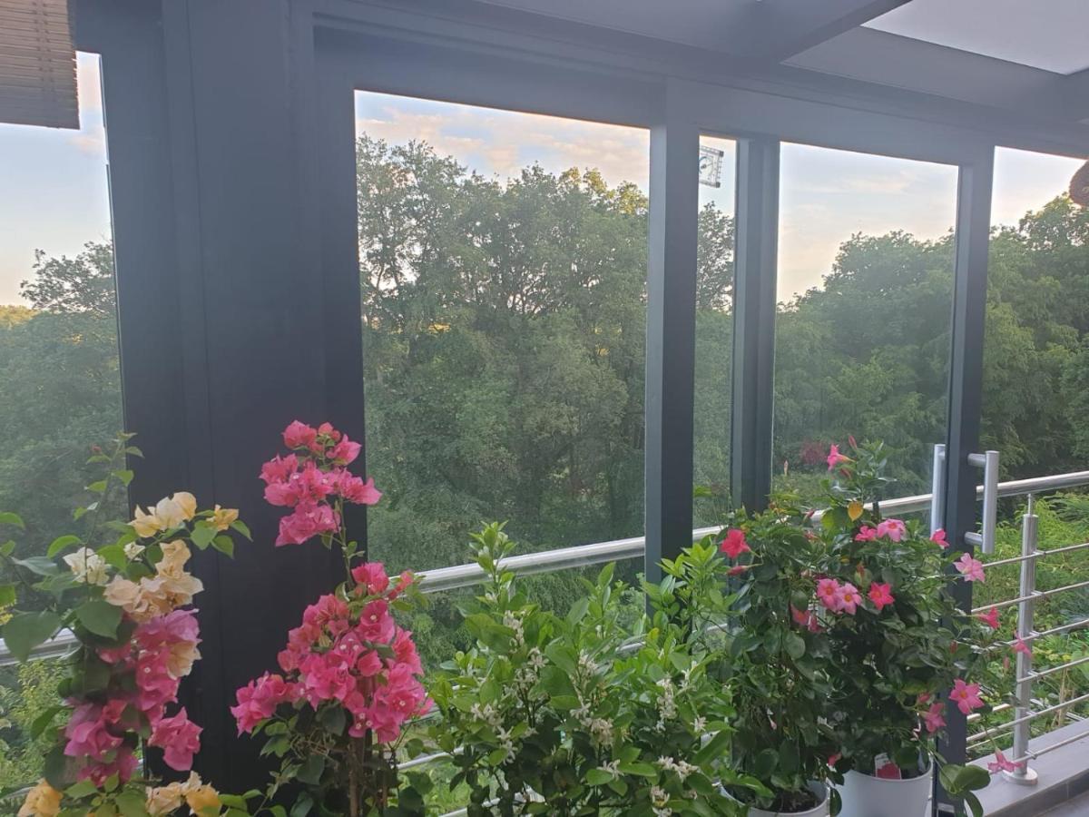 Cozy Room With A Beautiful Garden View Baunatal Dış mekan fotoğraf